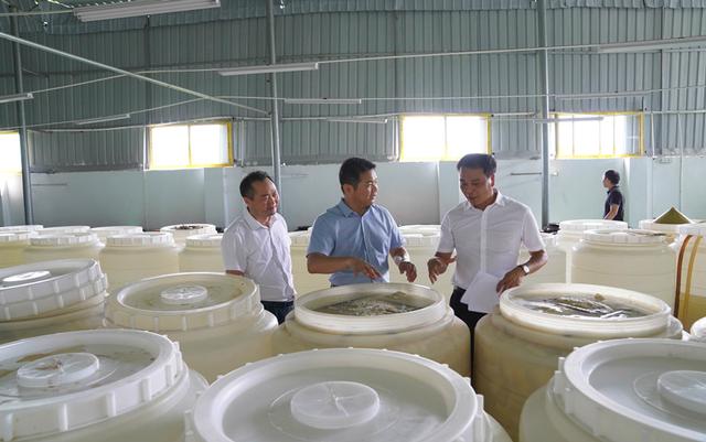 柳城县人大常委会“柳州螺蛳粉”原材料生产专业代表小组系列活动成效展举行