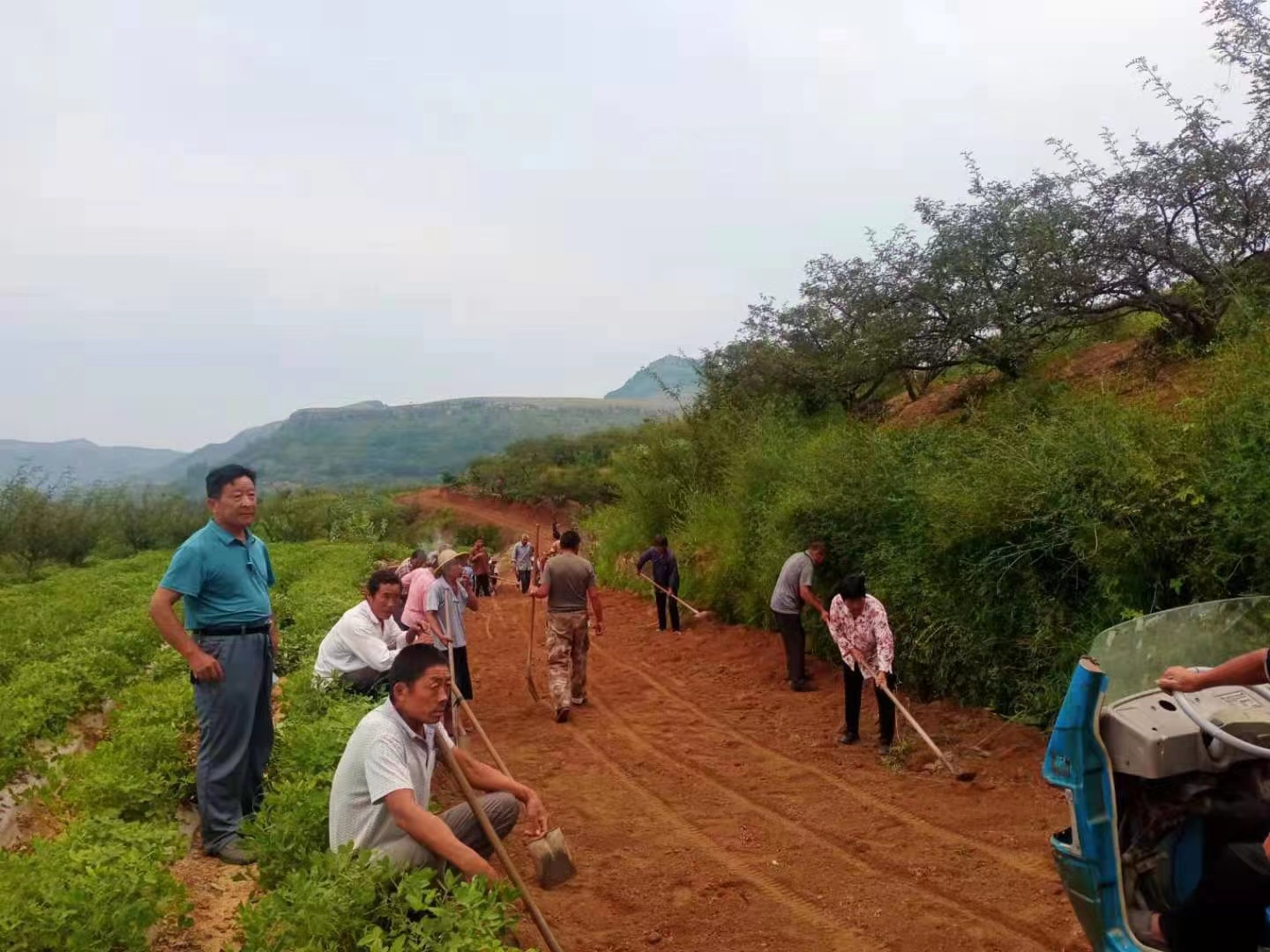 临沂大学生返村当书记:走出大山追“梦 ”,重返山村圆“梦”