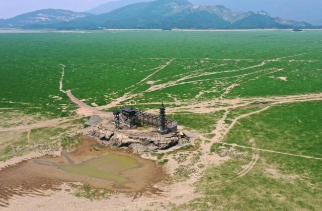 千方百计把水送到田里”——环鄱阳湖抗旱保丰收见闻