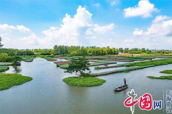 兴化：十年追青逐绿 擦亮水乡生态底色