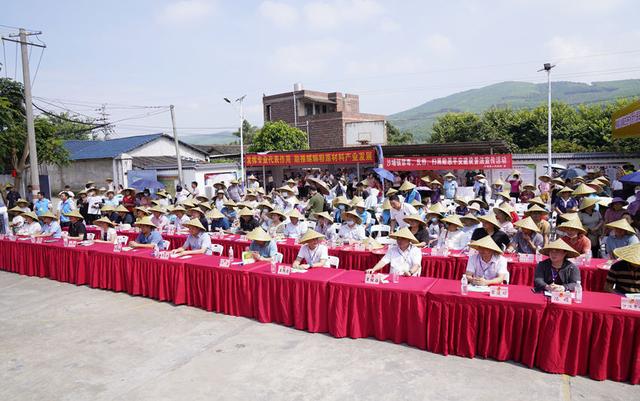 柳城县人大常委会“柳州螺蛳粉”原材料生产专业代表小组系列活动成效展举行