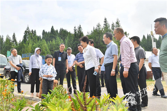 石柱康养大会六年：功夫在“会”外