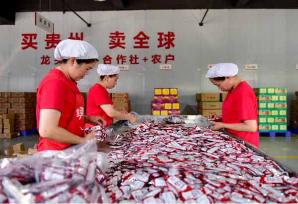 打造辣椒产业“贵州模式” 走好高质量发展之路