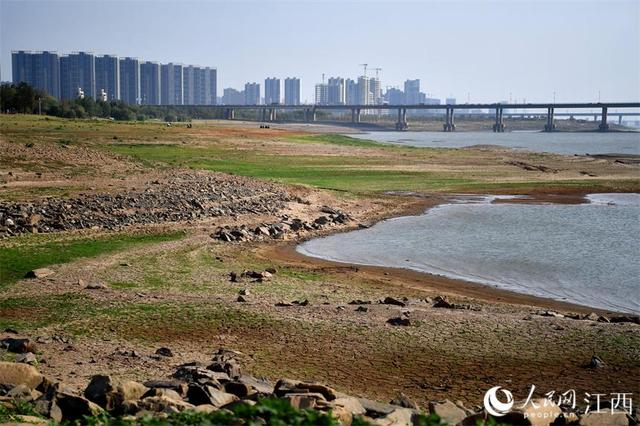 镜看赣江“旱象”：桥墩裸露 河床龟裂长野草