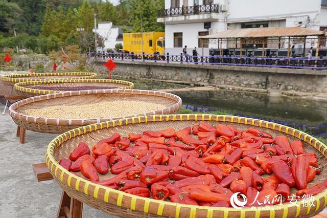 稻花“霭里”说丰年 安徽南陵丰收节正式启动