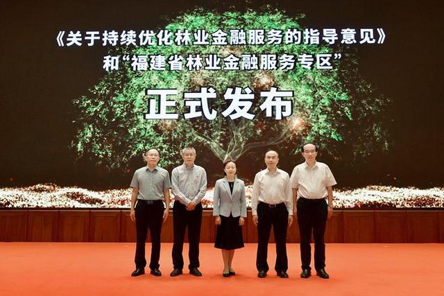 郭宁宁:持续优化福建林业金融服务 释放林改更大潜力