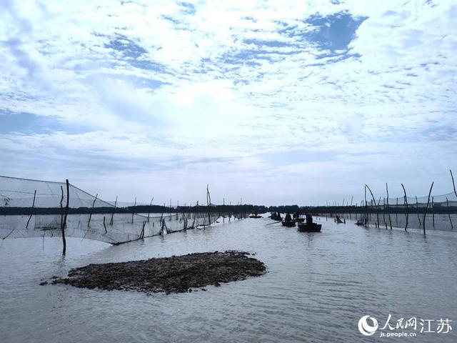 江苏淮安:洪泽湖大闸蟹正式开捕