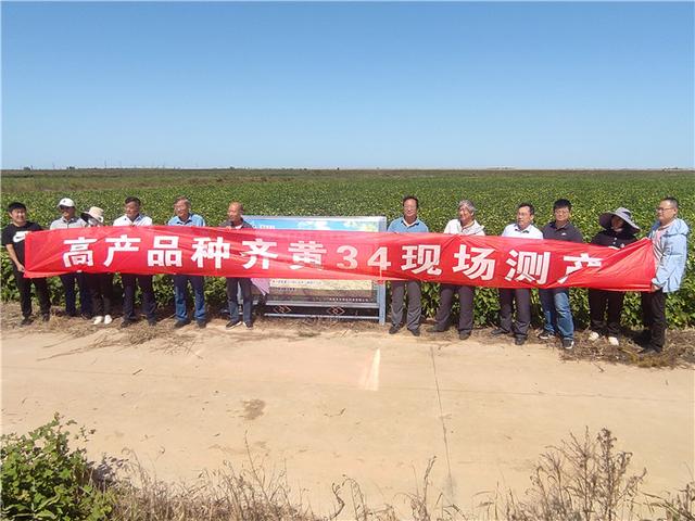 第五届中国大豆高峰论坛暨盐碱地大豆种业现场会成功举办播