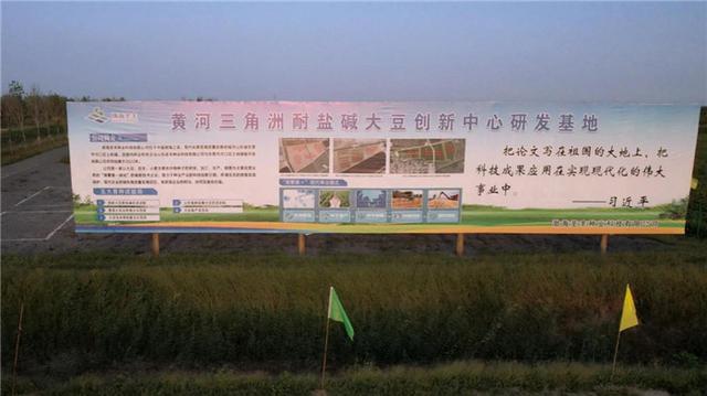 第五届中国大豆高峰论坛暨盐碱地大豆种业现场会成功举办播
