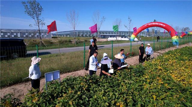 第五届中国大豆高峰论坛暨盐碱地大豆种业现场会成功举办播