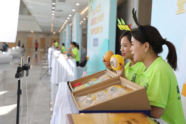 河北赵县:梨果飘香庆丰收