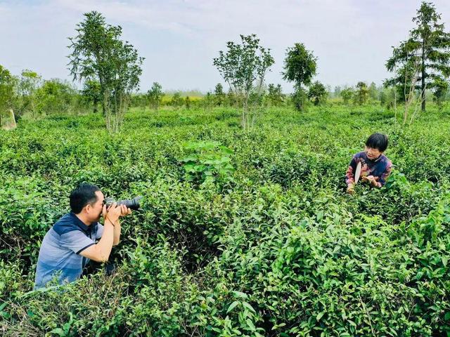 真美!她们穿上旗袍,惊艳了全村……