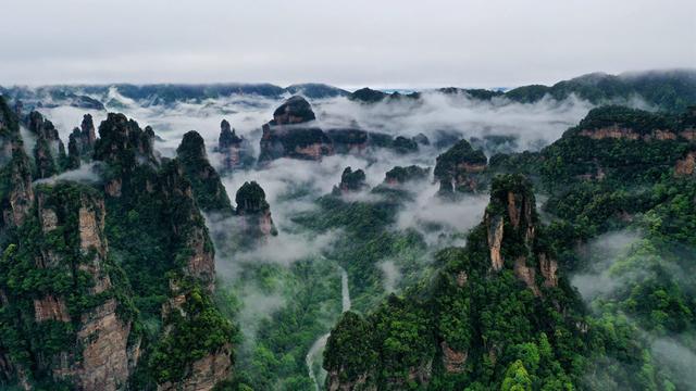 张家界国家森林公园荣膺“中国华侨国际文化交流基地”