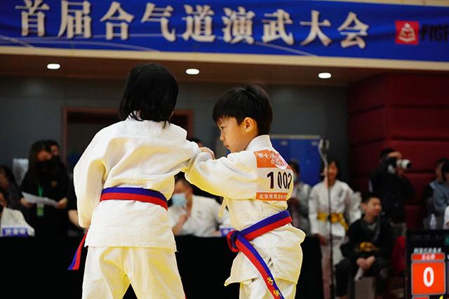 北京市第十四届体育大会暨首届合气道演武大会在京举行