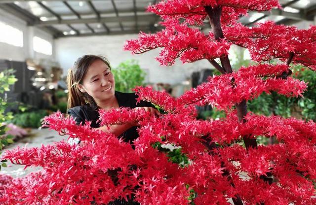 江苏沭阳：变废为宝 干花畅销