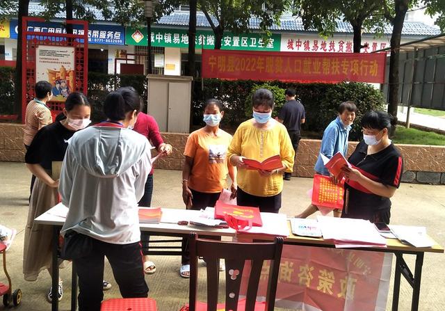 宁明县人社部门“三项举措”强化精准服务提升就业保障
