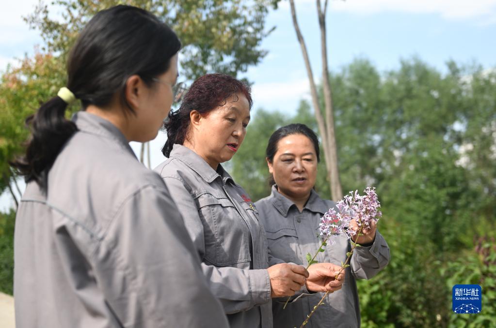 张锦梅：让绿色成为高原最美底色