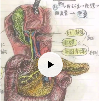 “好看”的知识！ 被大学生的手写笔记惊艳到了