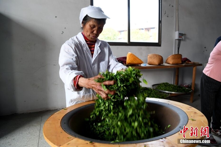 中国传统制茶技艺申遗成功 专家:推动茶文化守正创新