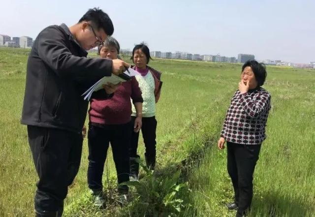 丁旦：一位90后“海归”的农业梦丨2022年度三农人物候选人推介