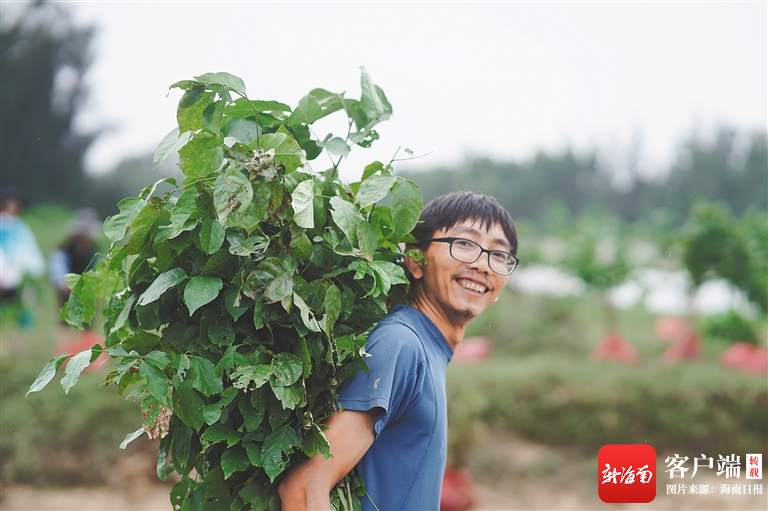 工程师谭喜云：一个​返乡青年的老村新梦