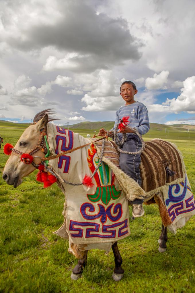 马背上的少年，迎风向前