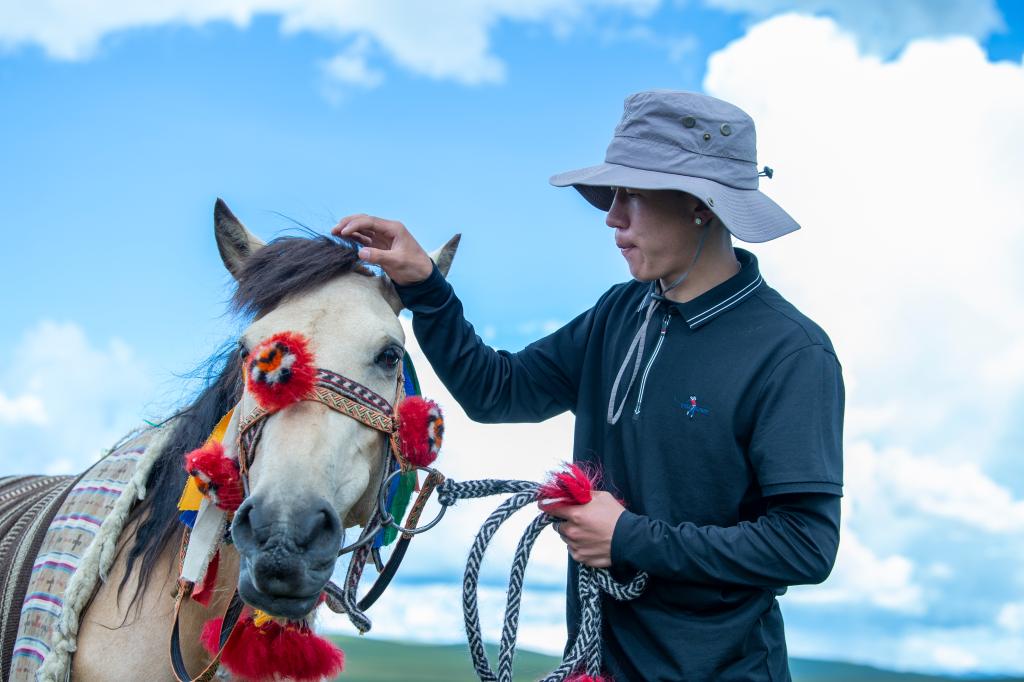 马背上的少年，迎风向前