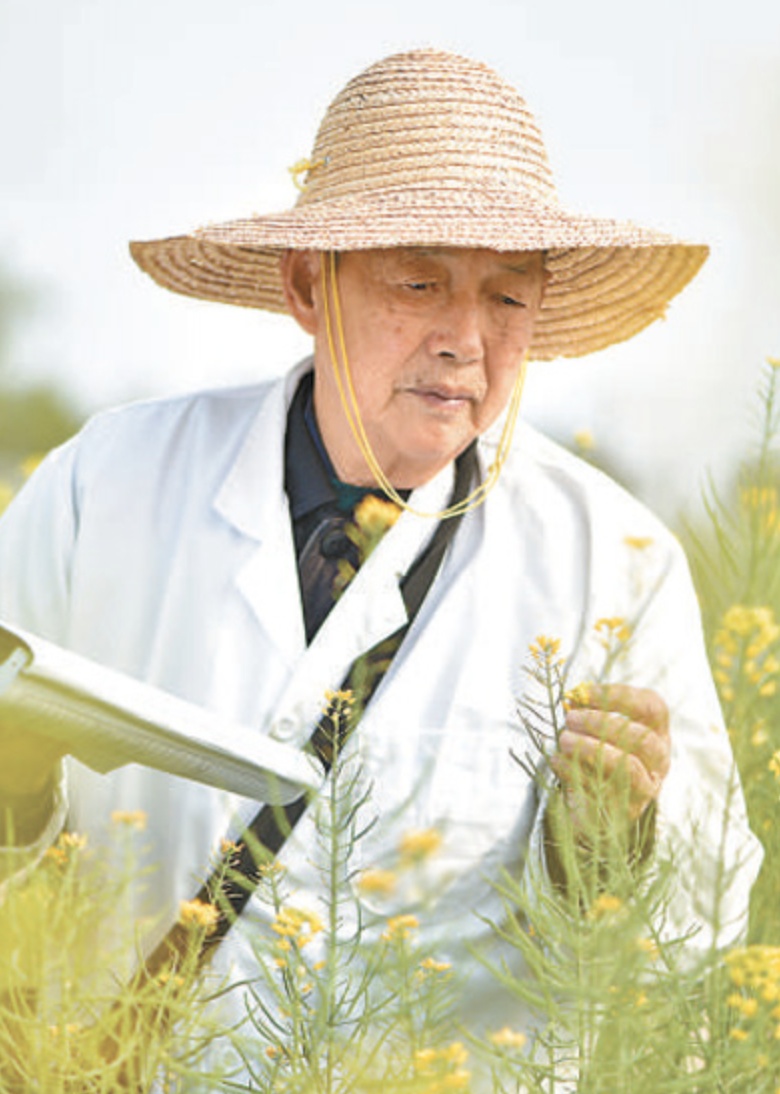 人物 | 专注油菜60年，他让盐碱地上开出油菜花