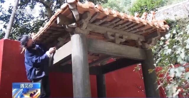 辞职返乡，90后姑娘苏清吾在家中建了座“故宫亭”