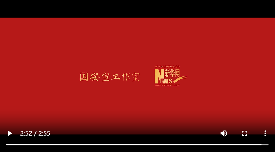 总体国家安全观主题宣传片《护你安澜》