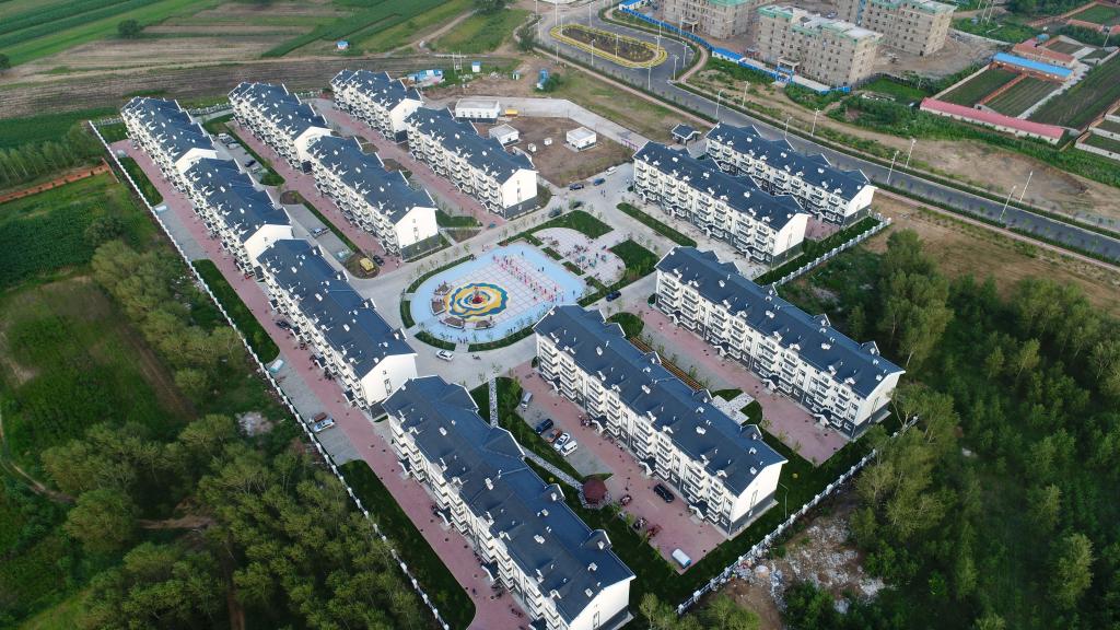 养鹤的姑娘 这里的公路为你而歌