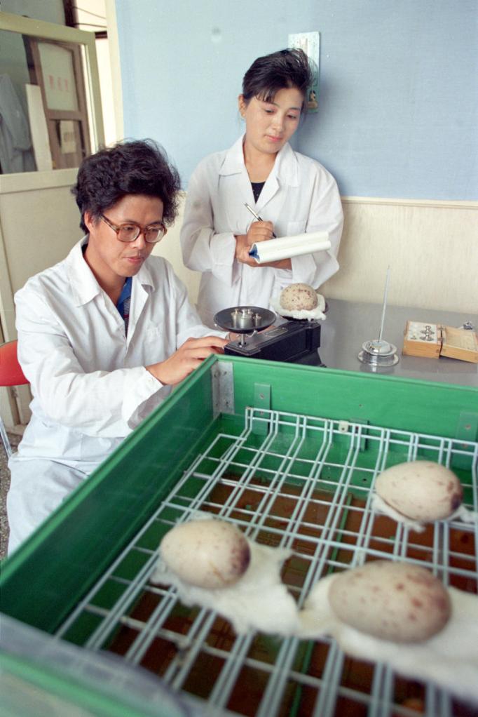 养鹤的姑娘 这里的公路为你而歌