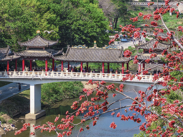 广东深圳龙岗区龙园公园内赏花游玩