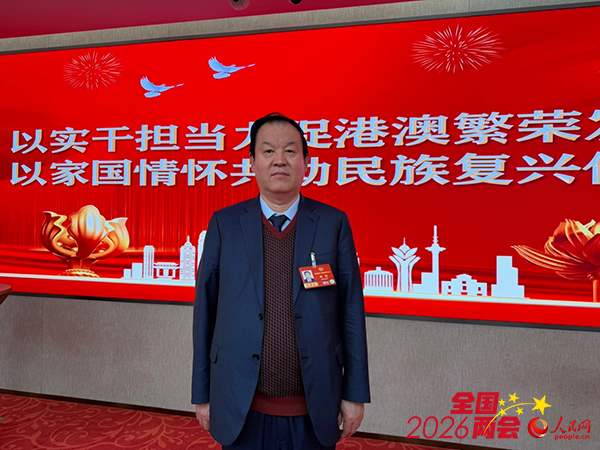 张斌委员：数字赋能文化出海 开放讲好中国故事