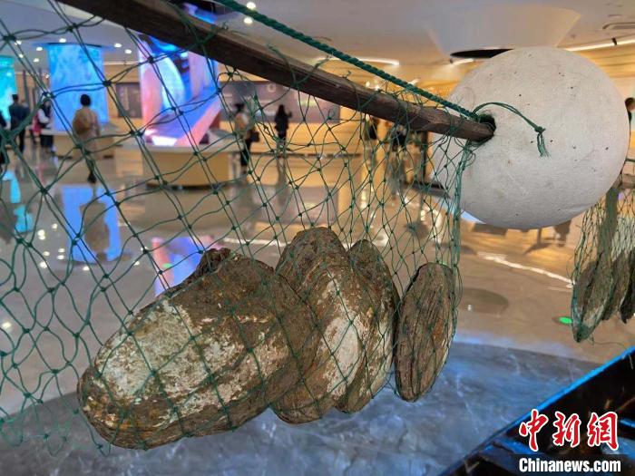 世界淡水珍珠博物馆内一影。　项菁 摄